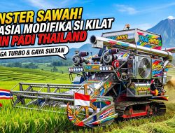 Inovasi Tanpa Batas: Bedah Modifikasi “Monster” Mesin Padi Thailand Somboon Pattana