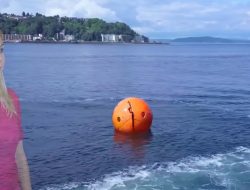 Survival Capsule Anti-Tsunami: Teknologi “Cangkang” Pelindung Nyawa di Tengah Amukan Tsunami